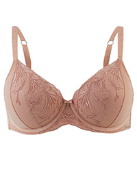 NUDE Athena Embroidered Padded Full Cup Bra - Size 32 to 34 (A-D-DD-E)